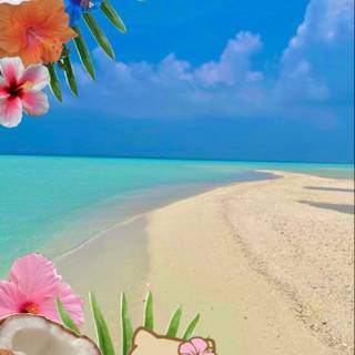 Hello Kitty beach wallpaper