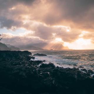 4k PC cute wallpaper