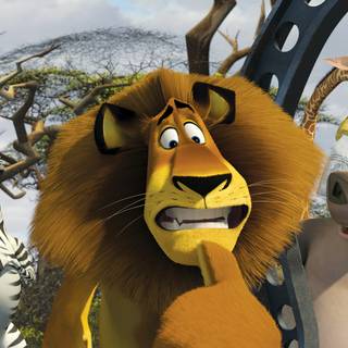 Madagascar 4k wallpaper