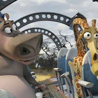 Madagascar 4k wallpaper