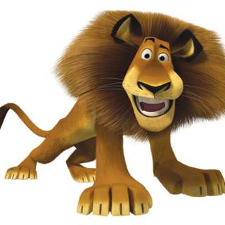 Madagascar 4k wallpaper