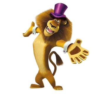 Madagascar 4k wallpaper