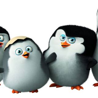 Madagascar 4k wallpaper