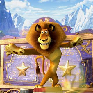 Alex the lion wallpaper