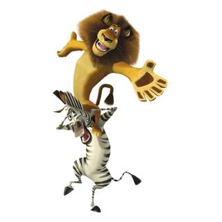 Madagascar 4k wallpaper