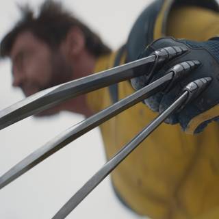 Wolverine PC 4k wallpaper