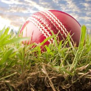 iPhone cricket wallpaper