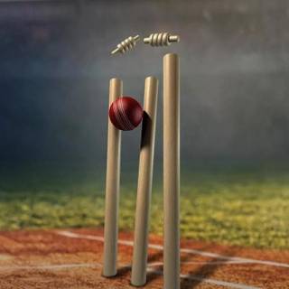 iPhone cricket wallpaper