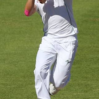 iPhone cricket wallpaper