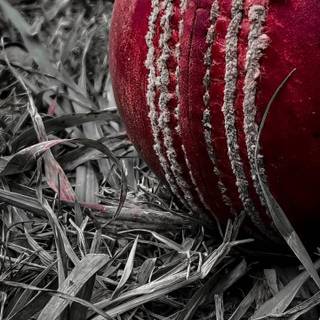 iPhone cricket wallpaper