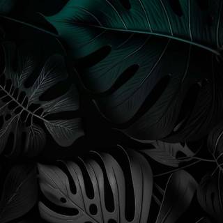 Dark iPhone 15 Pro Max wallpaper