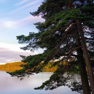 Sweden iPhone wallpaper