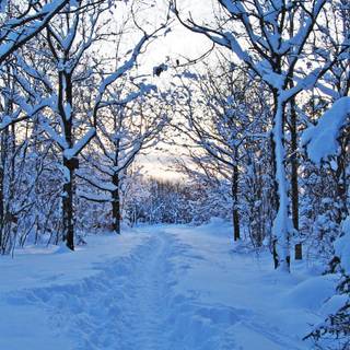 Sweden iPhone wallpaper