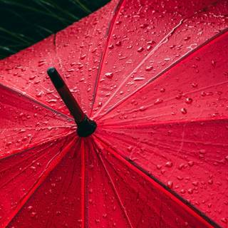 Rainy day iPhone wallpaper