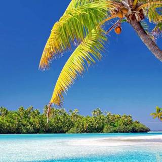 Sunny iPhone wallpaper