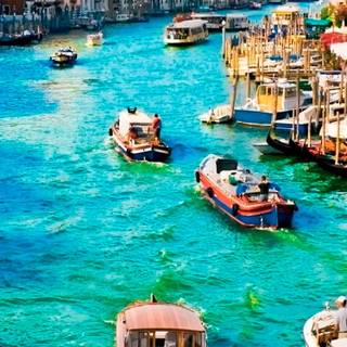 Sunny iPhone wallpaper