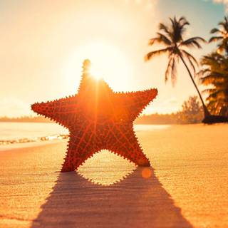 Sunny iPhone wallpaper