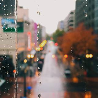 Rainy day iPhone wallpaper