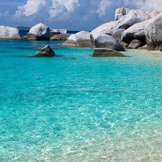 Sunny iPhone wallpaper