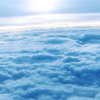 Sunny iPhone wallpaper