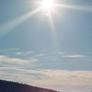 Sunny iPhone wallpaper