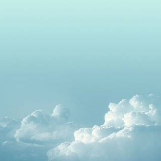 Sunny iPhone wallpaper