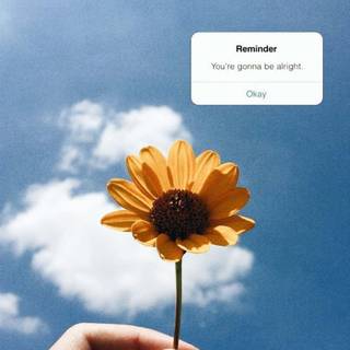 Sunny iPhone wallpaper