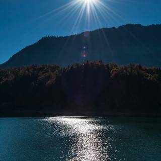 Sunny iPhone wallpaper