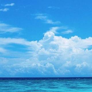 Sunny iPhone wallpaper