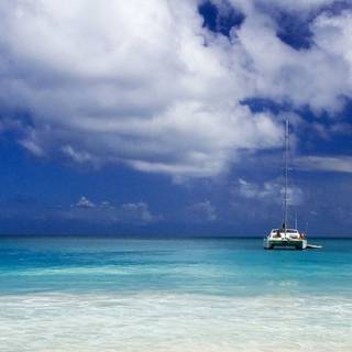 Sunny iPhone wallpaper