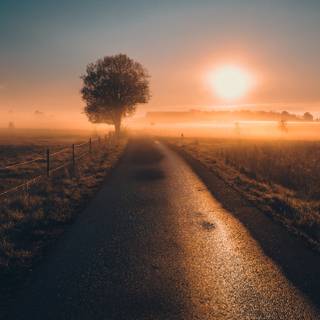 Sweden iPhone wallpaper