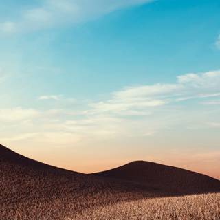 Sunny iPhone wallpaper