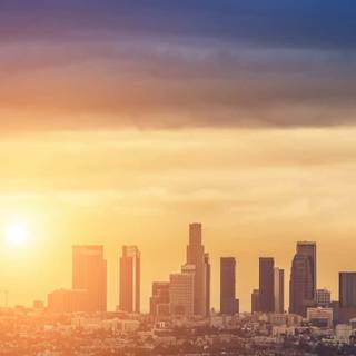 Sunny iPhone wallpaper