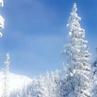 Sweden iPhone wallpaper