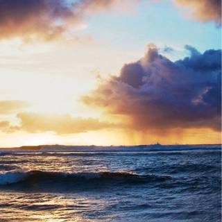 Sunny iPhone wallpaper