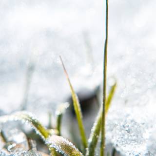 Sweden iPhone wallpaper