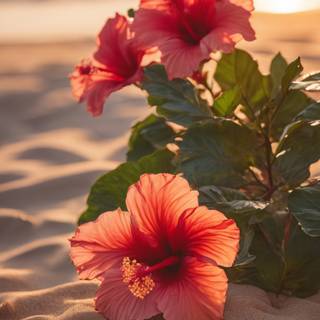 Hibiscus phone wallpaper