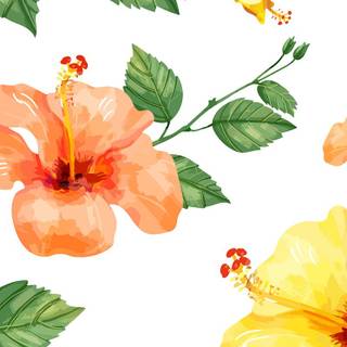 Hibiscus phone wallpaper