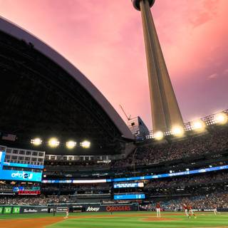 Toronto Blue Jays iPhone wallpaper