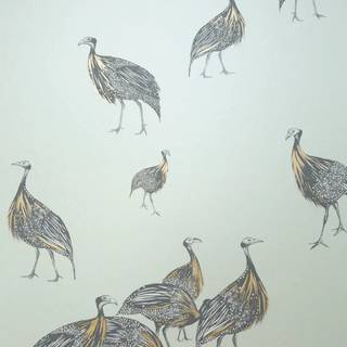 Birds of A Feather wallpaper