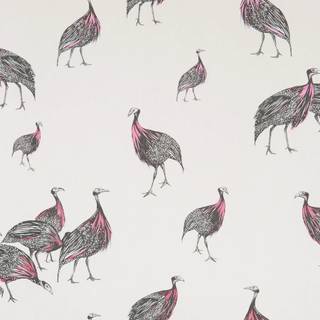 Birds of A Feather wallpaper