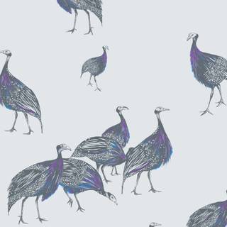 Birds of A Feather wallpaper