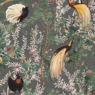 Birds of A Feather wallpaper