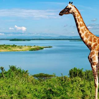 The Nile river wallpaper