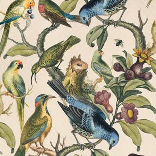 Birds of A Feather wallpaper