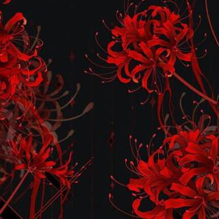 Spider Lily iPhone wallpaper