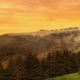 Autumn iPhone 13 wallpaper