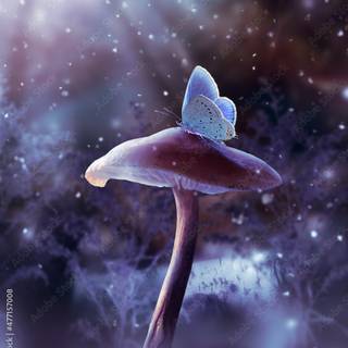 Dark fairy fantasy iPhone wallpaper