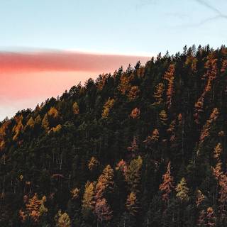 Autumn iPhone 13 wallpaper