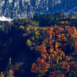 Autumn iPhone 13 wallpaper